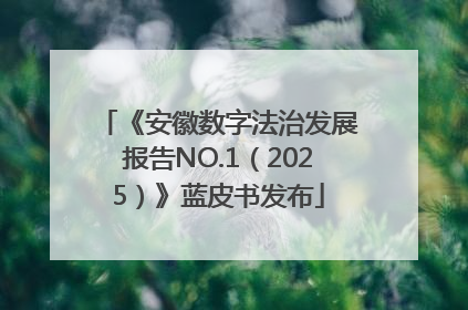 《安徽数字法治发展报告NO.1（2025）》蓝皮书发布