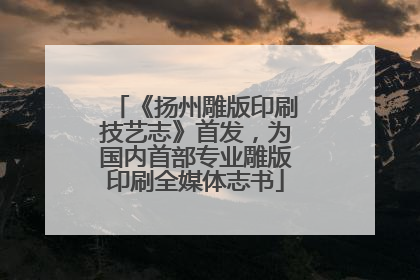 《扬州雕版印刷技艺志》首发，为国内首部专业雕版印刷全媒体志书