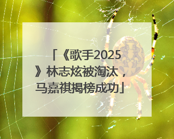 《歌手2025》林志炫被淘汰，马嘉祺揭榜成功