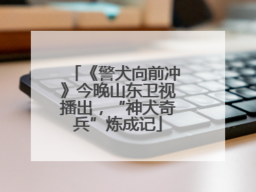 《警犬向前冲》今晚山东卫视播出，“神犬奇兵”炼成记