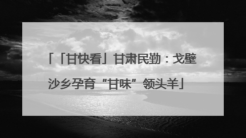 「甘快看」甘肃民勤：戈壁沙乡孕育“甘味”领头羊