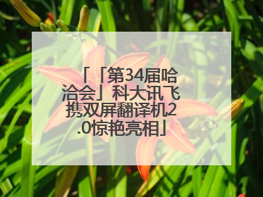 「第34届哈洽会」科大讯飞携双屏翻译机2.0惊艳亮相