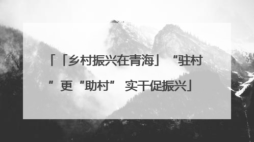 「乡村振兴在青海」“驻村”更“助村” 实干促振兴