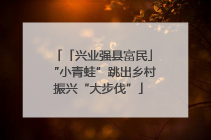 「兴业强县富民」“小青蛙”跳出乡村振兴“大步伐”