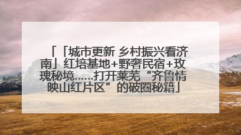 「城市更新 乡村振兴看济南」红培基地+野奢民宿+玫瑰秘境……打开莱芜“齐鲁情映山红片区”的破圈秘籍