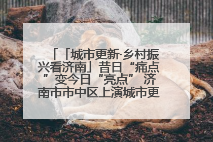 「城市更新·乡村振兴看济南」昔日“痛点”变今日“亮点” 济南市市中区上演城市更新“三部曲”