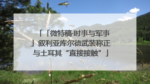 「微特稿·时事与军事」叙利亚库尔德武装称正与土耳其“直接接触”