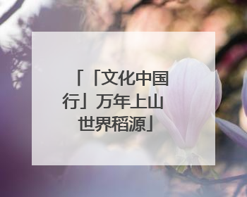 「文化中国行」万年上山 世界稻源