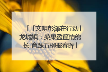 「文明彭泽在行动」龙城镇：桑果盈筐情绵长 育践五柳报春晖