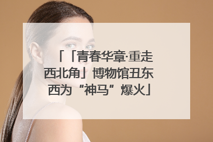「青春华章·重走西北角」博物馆丑东西为“神马”爆火
