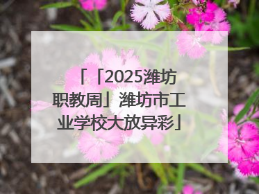 「2025潍坊职教周」潍坊市工业学校大放异彩