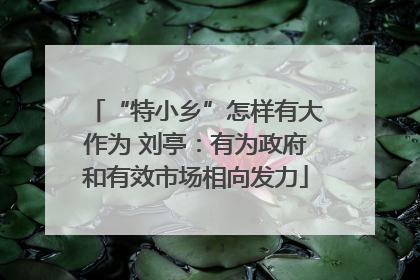 “特小乡”怎样有大作为 刘亭：有为政府和有效市场相向发力
