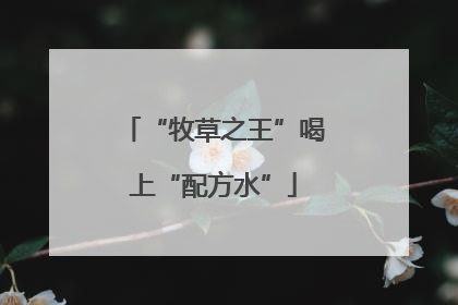“牧草之王”喝上“配方水”