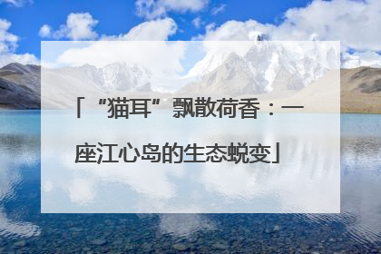 “猫耳”飘散荷香：一座江心岛的生态蜕变