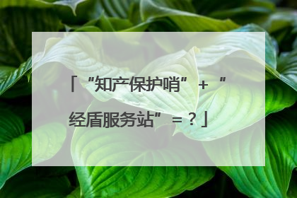 “知产保护哨”+“经盾服务站”=？