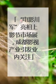 “电影川军”亮相上影节市场展，成都影视产业引发业内关注