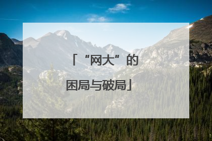 “网大”的困局与破局