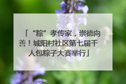 “粽”孝传家，崇德向善！城阳村社区第七届千人包粽子大赛举行