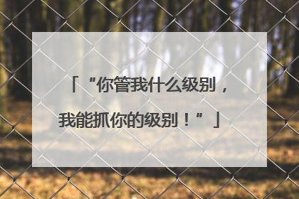 “你管我什么级别，我能抓你的级别！”