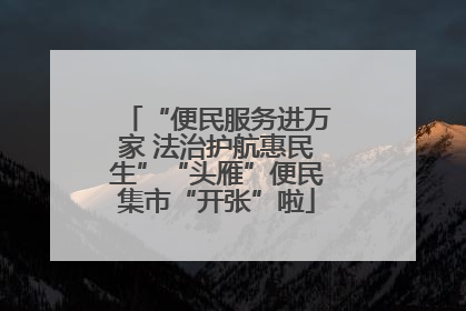 “便民服务进万家 法治护航惠民生”“头雁”便民集市“开张”啦