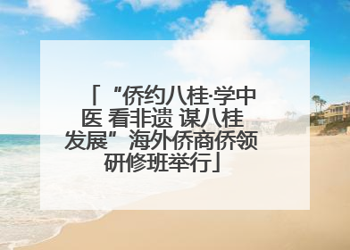 “侨约八桂·学中医 看非遗 谋八桂发展”海外侨商侨领研修班举行
