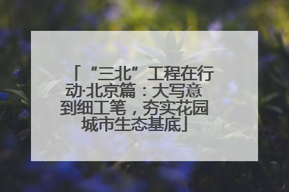 “三北”工程在行动·北京篇：大写意到细工笔，夯实花园城市生态基底