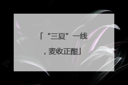 “三夏”一线，麦收正酣