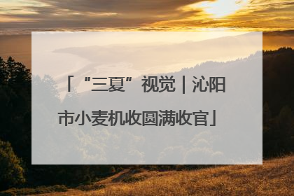 “三夏”视觉｜沁阳市小麦机收圆满收官