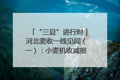 “三夏”进行时｜河北麦收一线见闻（一）：小麦机收减损“竞技” 农机高手麦田“过招”