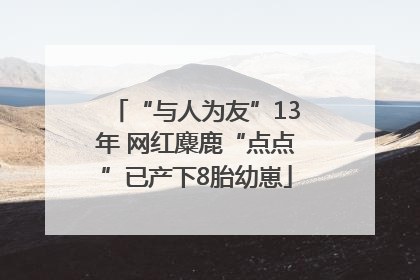“与人为友”13年 网红麋鹿“点点”已产下8胎幼崽