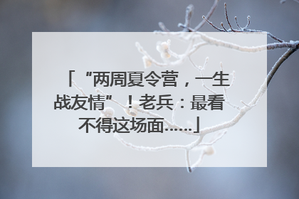 “两周夏令营，一生战友情”！老兵：最看不得这场面……