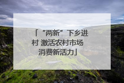 “两新”下乡进村 激活农村市场消费新活力