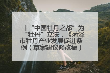 “中国牡丹之都”为“牡丹”立法，《菏泽市牡丹产业发展促进条例（草案建议修改稿）》公开征求意见