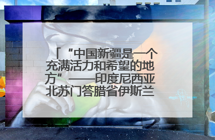 “中国新疆是一个充满活力和希望的地方”——印度尼西亚北苏门答腊省伊斯兰教代表团参访新疆
