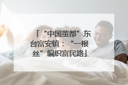 “中国茧都”东台富安镇：“一根丝”编织富民路