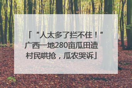 “人太多了拦不住！”广西一地280亩瓜田遭村民哄抢，瓜农哭诉