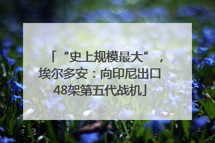 “史上规模最大”，埃尔多安：向印尼出口48架第五代战机