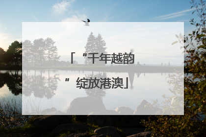 “千年越韵”绽放港澳