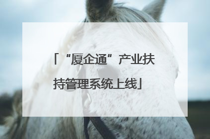 “厦企通”产业扶持管理系统上线