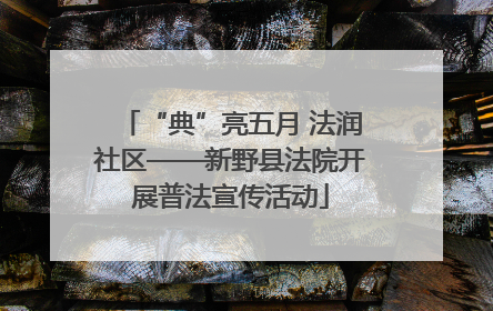 “典”亮五月 法润社区——新野县法院开展普法宣传活动