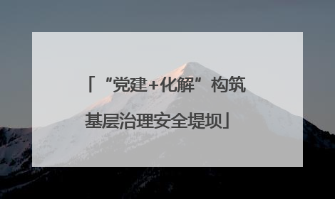 “党建+化解”构筑基层治理安全堤坝