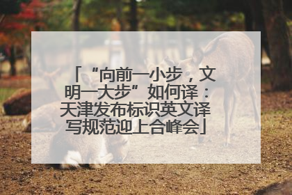 “向前一小步，文明一大步”如何译：天津发布标识英文译写规范迎上合峰会