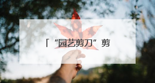“园艺剪刀”剪出幸福枝桠，先贤苑片区工会小组携手扮靓家园