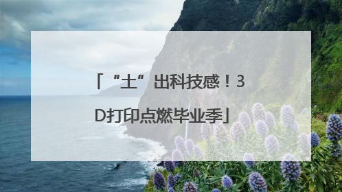 “土”出科技感！3D打印点燃毕业季