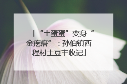 “土蛋蛋”变身“金疙瘩”：孙伯镇西程村土豆丰收记