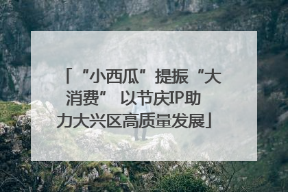 “小西瓜”提振“大消费” 以节庆IP助力大兴区高质量发展