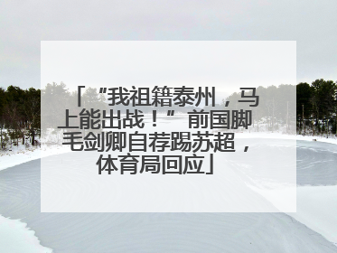 “我祖籍泰州，马上能出战！”前国脚毛剑卿自荐踢苏超，体育局回应