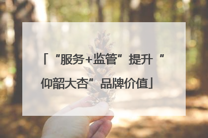 “服务+监管”提升“仰韶大杏”品牌价值
