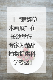 “楚辞草木画展”在长沙举行 专家为楚辞植物提供科学考据