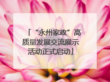 “永州家政”高质量发展交流展示活动正式启动